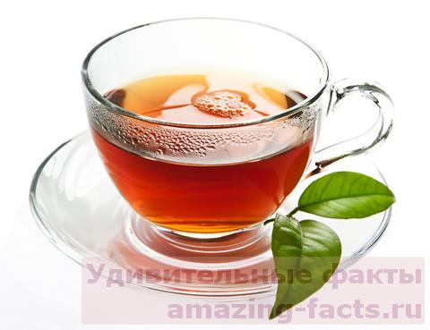 факты о чае, удивительные факты, tea, facts