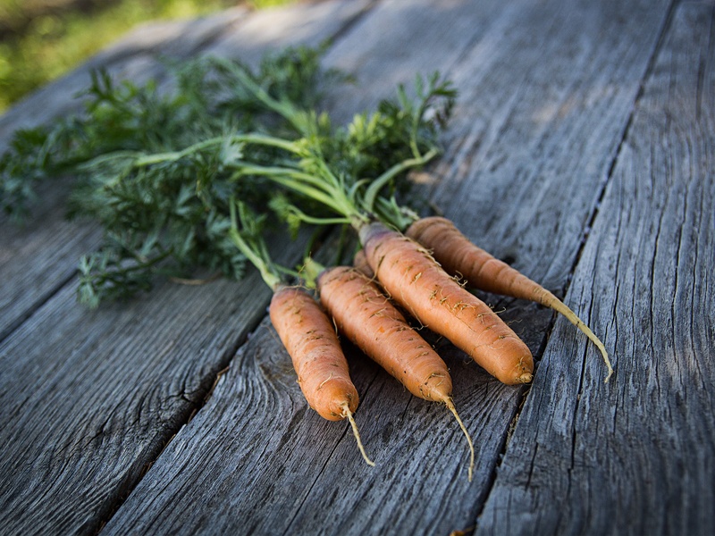 Самый первый сорт оранжевый моркови был выведен в XVI веке