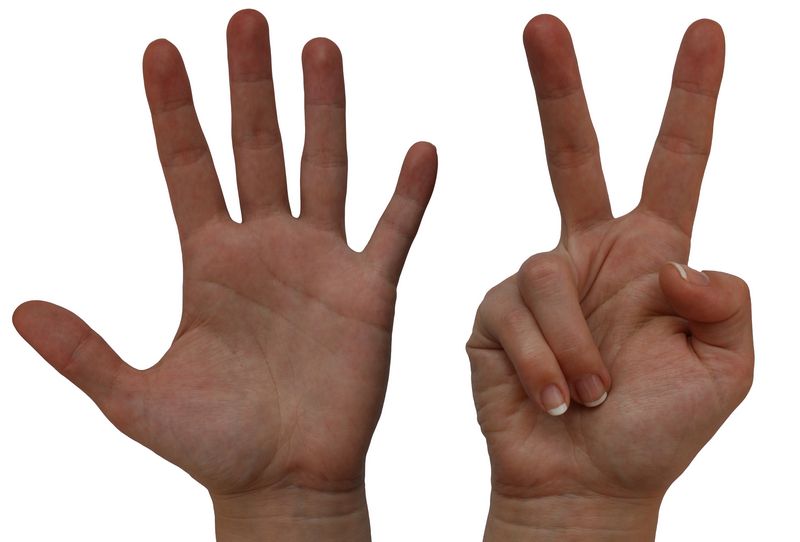 Человеческие пальцы - основной инструмент для счёта древних