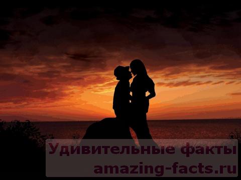 Факты о любви, facts, love, любовь, влюбленность, что такое любовь