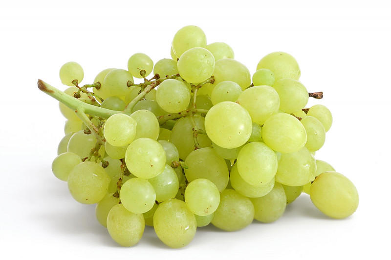 Факты про виноград