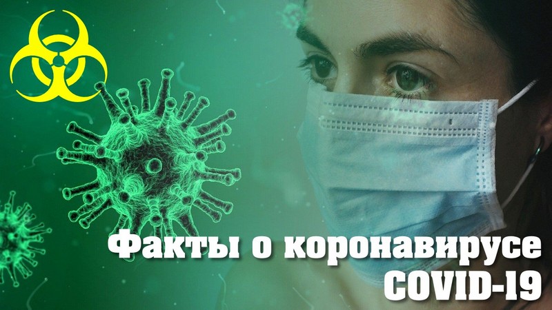 Факты о коронавирусе COVID-19